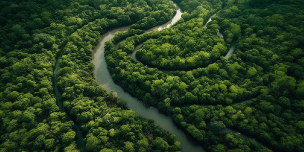 Certificazioni ambientali