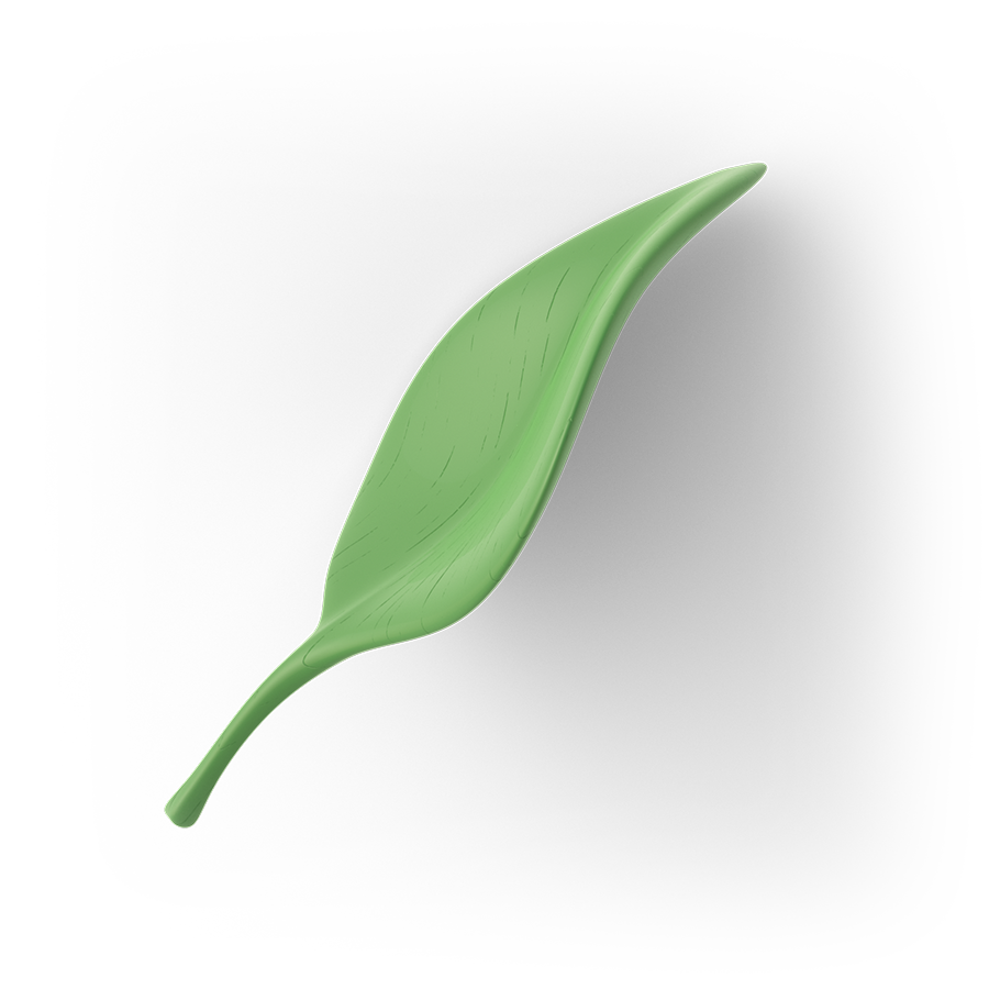Ilpa leaf